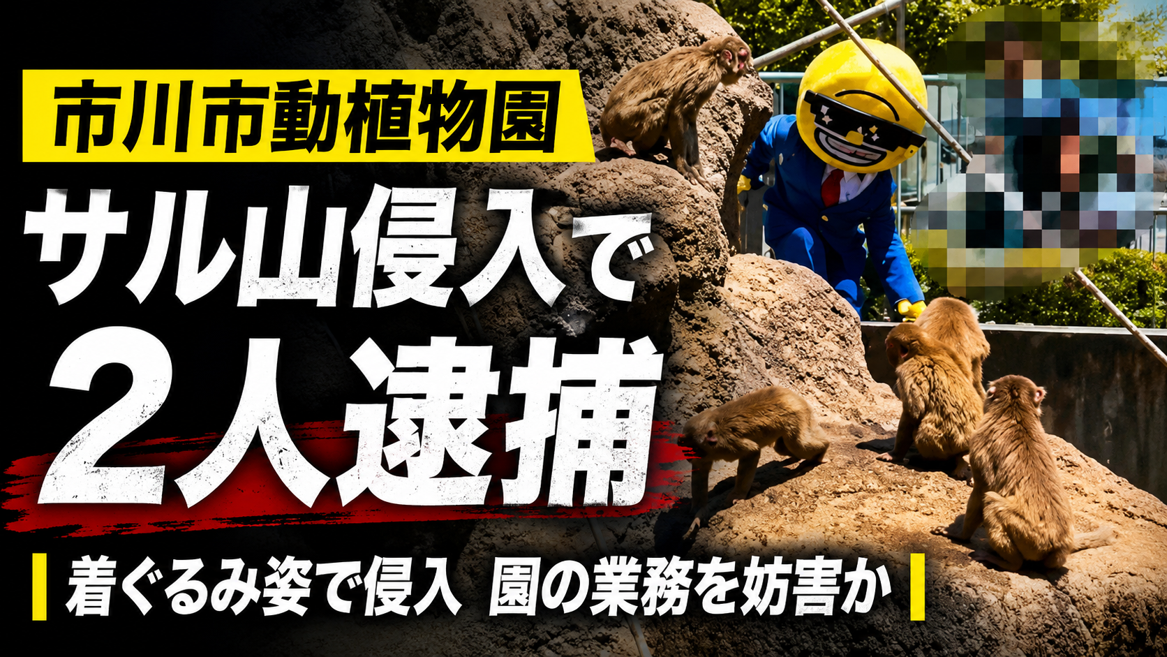 市川市動植物園のパンチくんサル山侵入事件を示す報道用イメージ