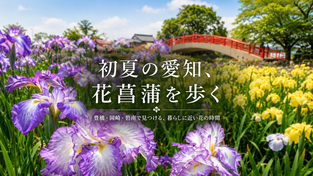 愛知県の花菖蒲園で初夏の花を眺めながら散策する人々のイメージ