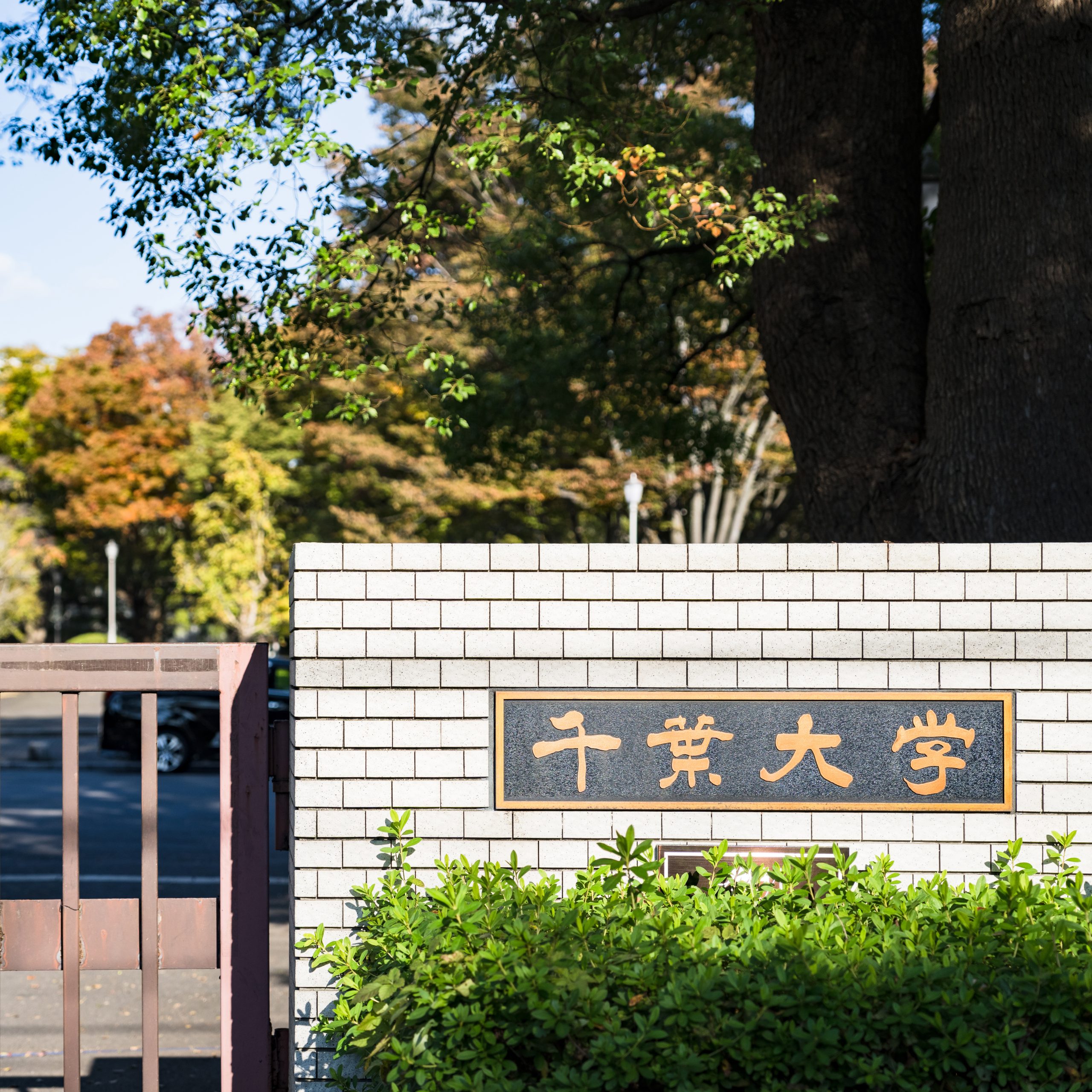 千葉大学が職員4人をハラスメントと暴行で懲戒処分にしたニュースのイメージ