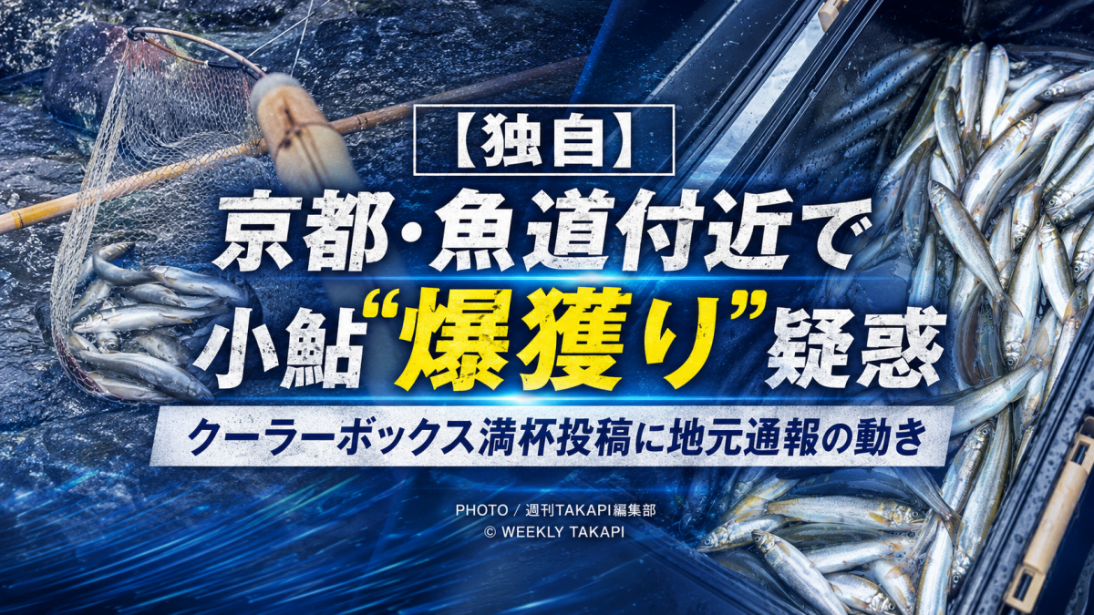 京都府内の河川で小鮎大量採捕疑惑が浮上したことを伝える報道アイキャッチ