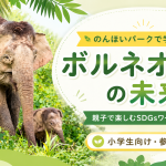 豊橋総合動植物公園のんほいパークで開催される小学生向け無料SDGsワークショップのアイキャッチ画像。ボルネオゾウ、オンライン交流、自由研究、ポスター制作をイメージした明るい地域イベントデザイン。