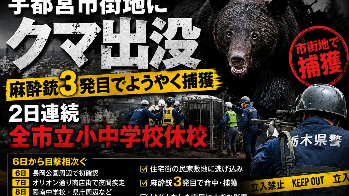 宇都宮市の市街地でクマが出没し東簗瀬周辺で捕獲され全市立小中学校94校が2日連続で休校となった問題を伝える報道アイキャッチ