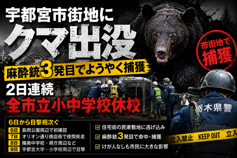 宇都宮市の市街地でクマが出没し東簗瀬周辺で捕獲され全市立小中学校94校が2日連続で休校となった問題を伝える報道アイキャッチ