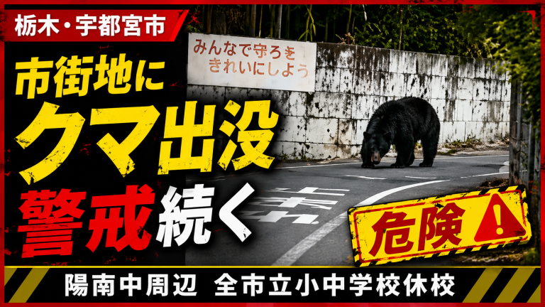 宇都宮市の市街地でクマが出没し陽南中学校付近で警戒が続く様子を伝える報道用アイキャッチ