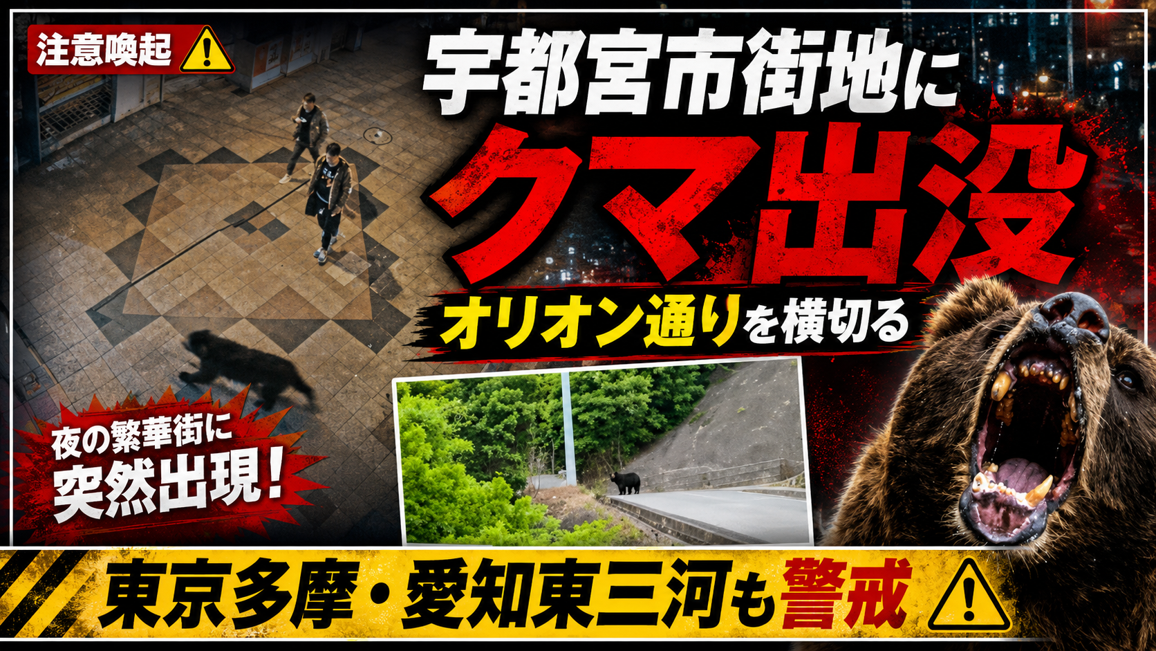宇都宮市のオリオン通り周辺でクマが目撃され東京多摩と愛知東三河にも注意を呼びかける画像