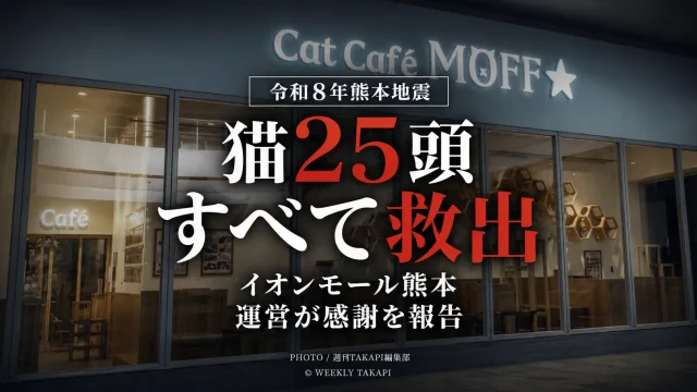 令和8年熊本地震の影響を受けたイオンモール熊本の猫カフェ「Cat Café MOFF」で、店内に残されていた猫25頭がすべて無事に救出・搬出されたことを伝える報道アイキャッチ
