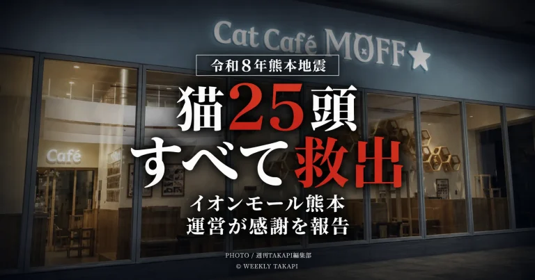 令和8年熊本地震の影響を受けたイオンモール熊本の猫カフェ「Cat Café MOFF」で、店内に残されていた猫25頭がすべて無事に救出・搬出されたことを伝える報道アイキャッチ