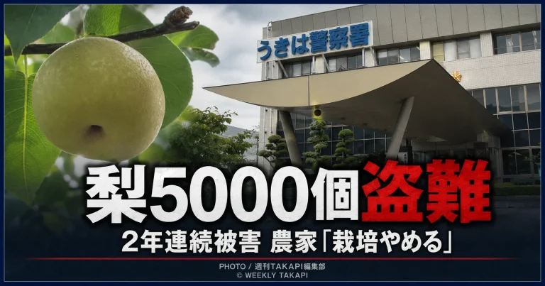 福岡県うきは市の梨農園で収穫直前の幸水約5000個が盗まれ、2年連続の被害を受けた農家が栽培断念を決めた事件を伝える報道画像