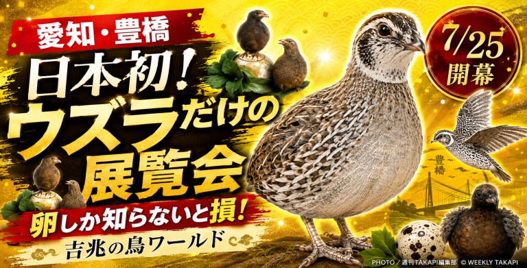 豊橋市美術博物館で開催される日本初のウズラだけの展覧会を紹介するエンタメ系アイキャッチ