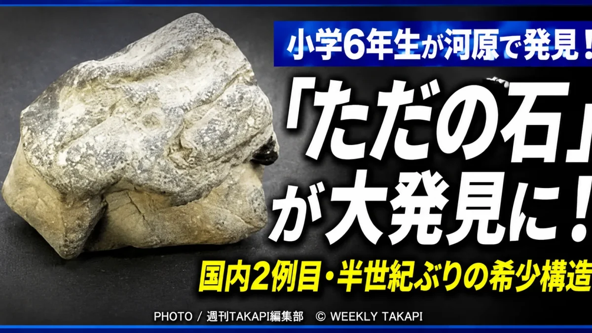 埼玉県小鹿野町の河原で小学6年生が発見したコーン・イン・コーン構造を持つ炭酸塩岩のイメージ