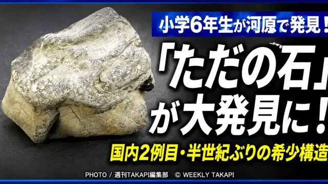 埼玉県小鹿野町の河原で小学6年生が発見したコーン・イン・コーン構造を持つ炭酸塩岩のイメージ