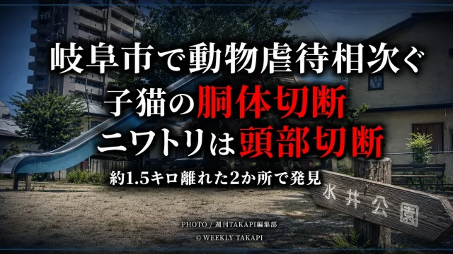 岐阜市内で子猫とニワトリの切断された死骸が相次いで見つかり、警察が動物愛護法違反の疑いで捜査している事件を伝える報道アイキャッチ