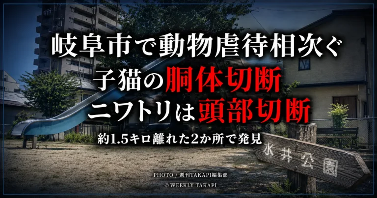 岐阜市内で子猫とニワトリの切断された死骸が相次いで見つかり、警察が動物愛護法違反の疑いで捜査している事件を伝える報道アイキャッチ