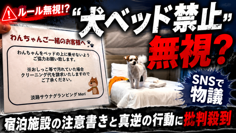 淡路島のグランピング施設で白い小型犬をベッドに乗せた投稿がSNSで炎上しているイメージ