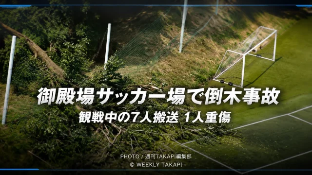 静岡県御殿場市のサッカー場で高さ約20メートルの木が倒れ、観戦中の幼児や保護者ら7人が搬送された事故の報道イメージ