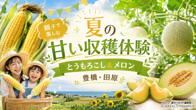 豊橋・田原エリアで開催されるとうもろこし収穫体験とアールスメロン狩りを紹介する、夏らしく明るい食農イベントのアイキャッチ
