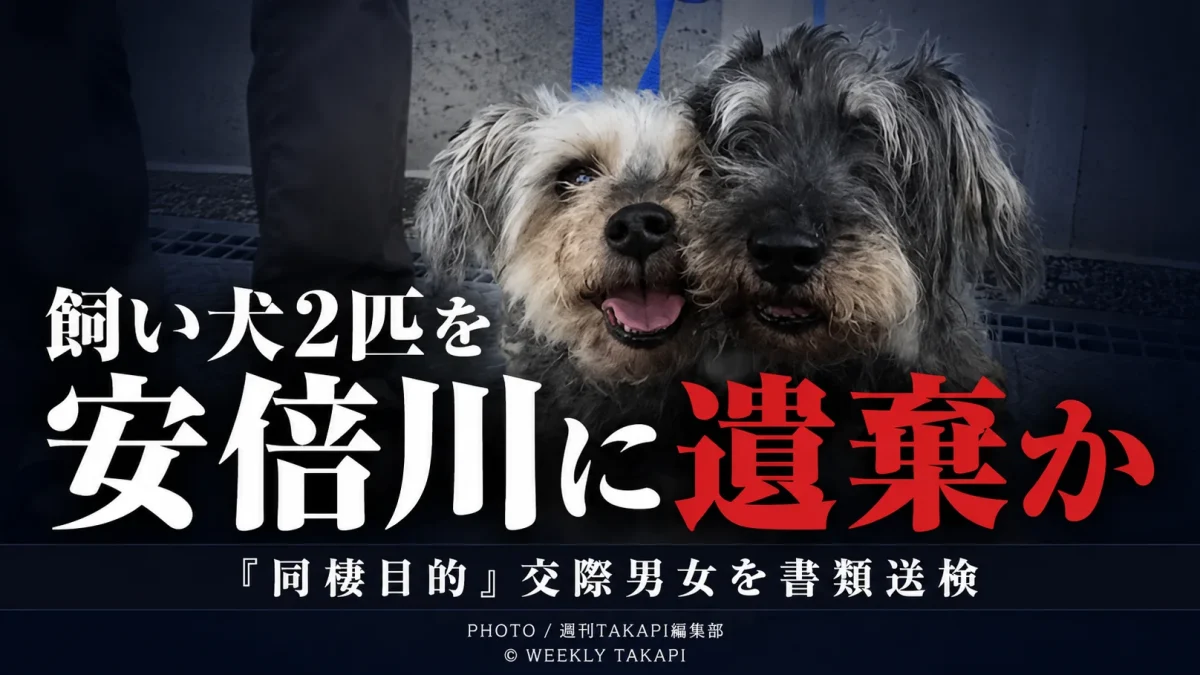 静岡市の安倍川河川敷に飼い犬2匹を置き去りにした疑いで、交際中の男女が書類送検された事件を伝える報道アイキャッチ