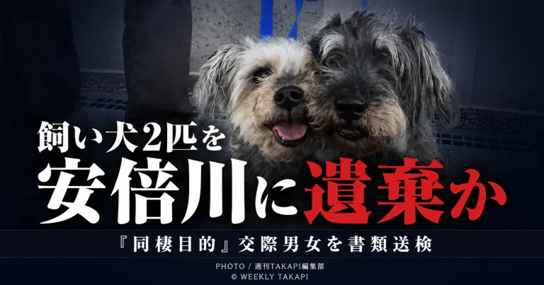 静岡市の安倍川河川敷に飼い犬2匹を置き去りにした疑いで、交際中の男女が書類送検された事件を伝える報道アイキャッチ