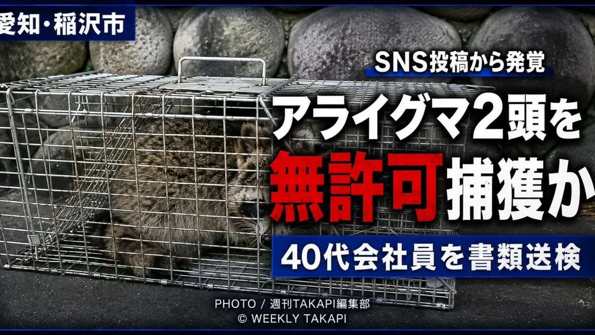 愛知県稲沢市の40代会社員が野生のアライグマ2頭を無許可で捕獲した疑いで書類送検