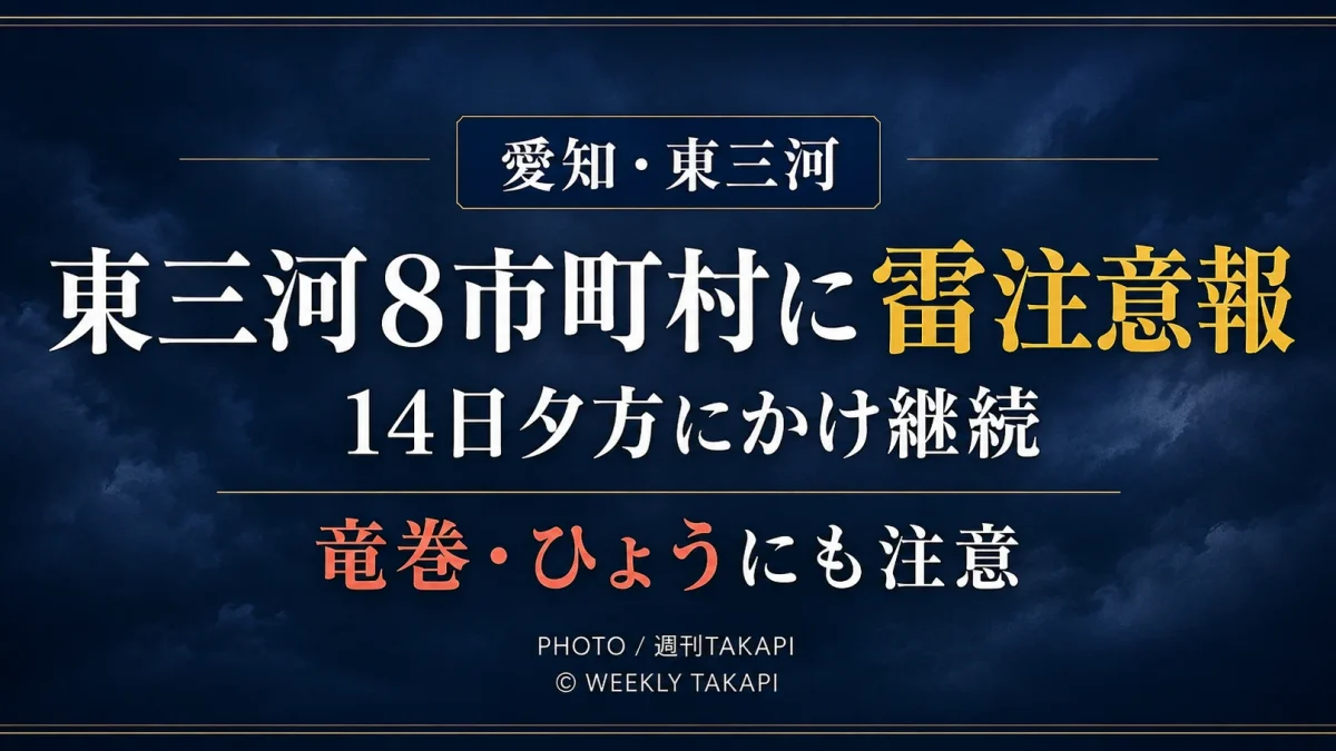 愛知県東三河の豊橋市など8市町村に雷注意報が出され、14日夕方にかけて落雷や竜巻、ひょうへの注意が必要なことを伝えるニュース画像