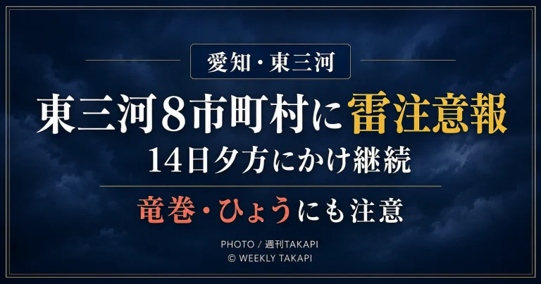 愛知県東三河の豊橋市など8市町村に雷注意報が出され、14日夕方にかけて落雷や竜巻、ひょうへの注意が必要なことを伝えるニュース画像