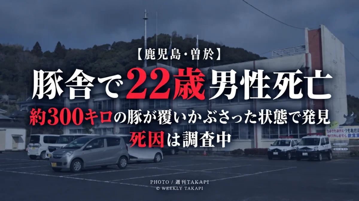 鹿児島県曽於市の農場で22歳男性が死亡し、発見時に約300キロの豚が覆いかぶさっていた事案を伝える週刊TAKAPIの報道アイキャッチ