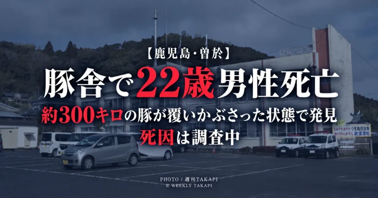 鹿児島県曽於市の農場で22歳男性が死亡し、発見時に約300キロの豚が覆いかぶさっていた事案を伝える週刊TAKAPIの報道アイキャッチ