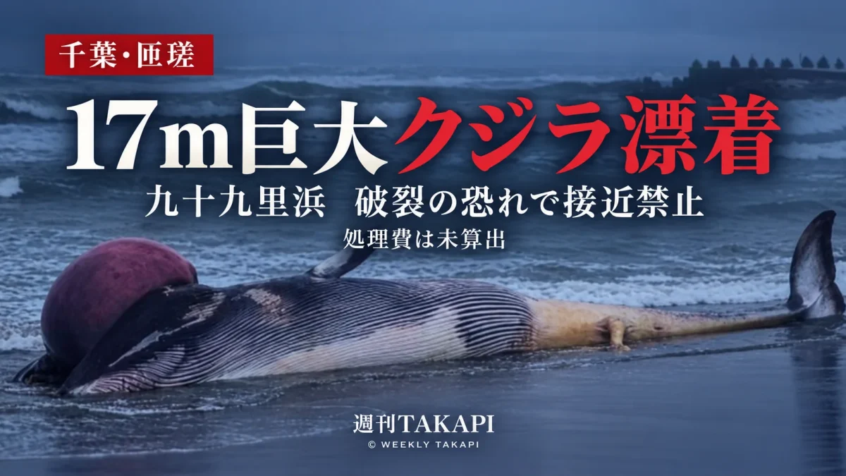 千葉県匝瑳市の九十九里浜に漂着した体長約17メートルのナガスクジラとみられるクジラを伝える報道画像