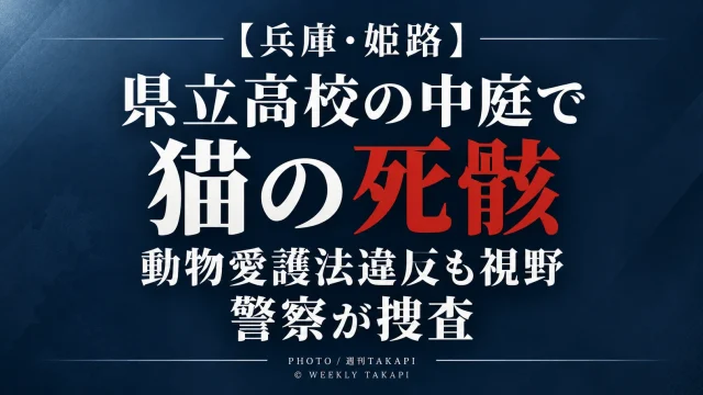 兵庫県姫路市の県立高校中庭で損傷した猫の死骸が見つかり警察が動物愛護法違反の疑いも含めて捜査