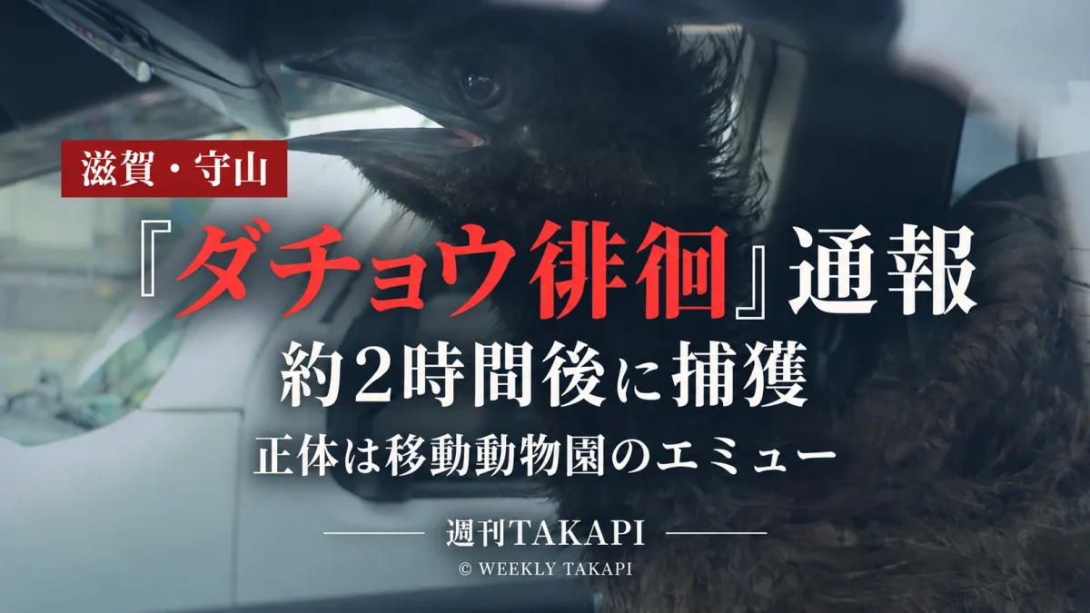 滋賀県守山市で移動動物園のエミューが脱走し「ダチョウが徘徊している」と通報された出来事を伝える報道画像