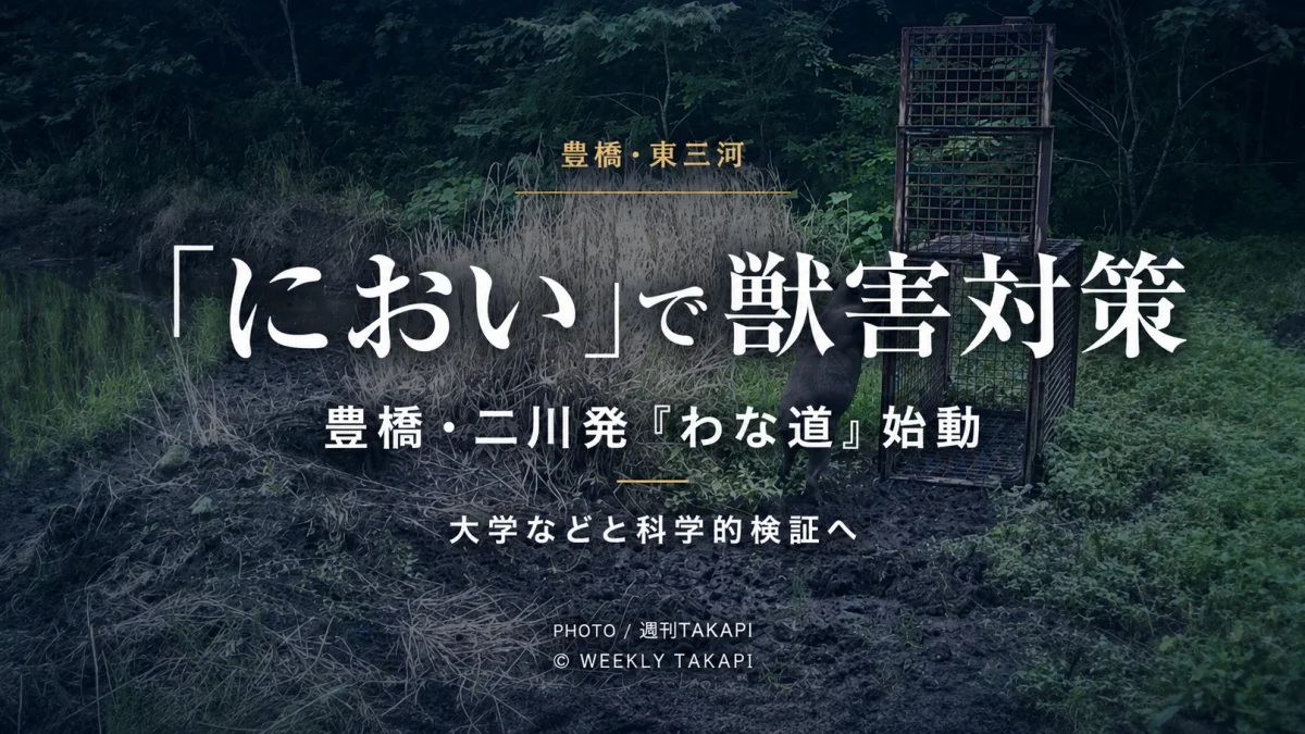 豊橋市二川町で始動した獣害対策プロジェクト「わな道」を伝える週刊TAKAPIのアイキャッチ画像