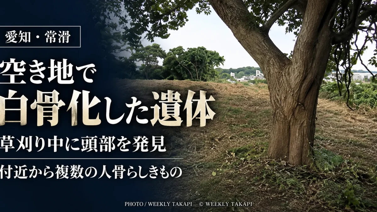 愛知県常滑市千代ケ丘の空き地で白骨化した遺体が見つかり、草刈り作業中の男性が頭部を発見した現場の記事アイキャッチ