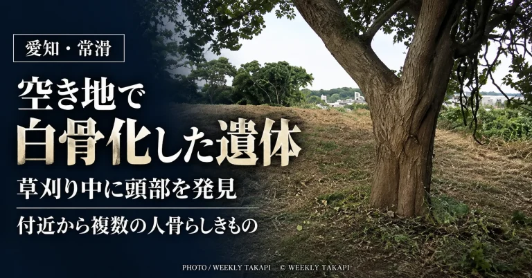 愛知県常滑市千代ケ丘の空き地で白骨化した遺体が見つかり、草刈り作業中の男性が頭部を発見した現場の記事アイキャッチ