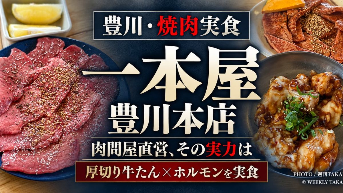 豊川市の焼肉店「一本屋 豊川本店」で実食した生塩牛たんと牛ホルモン