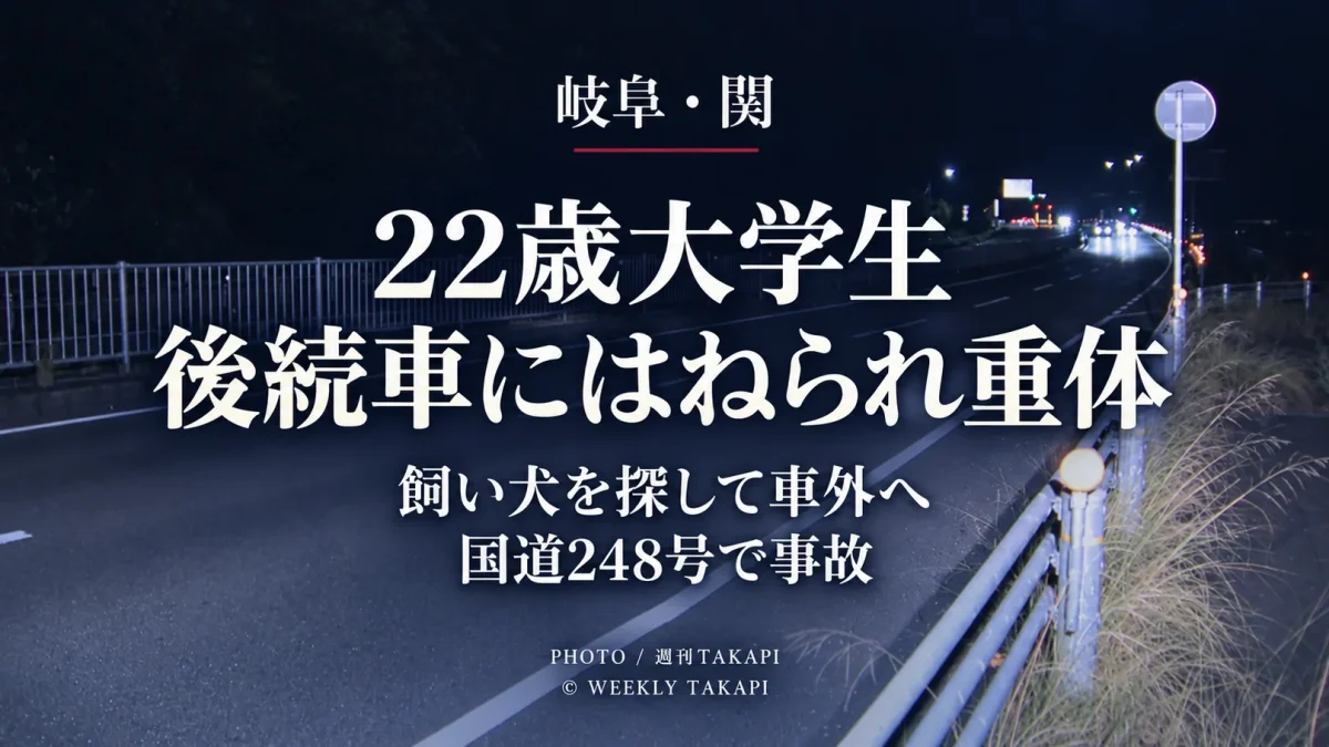 岐阜県関市山田の国道248号で飼い犬を探していた22歳の大学生が車外に出たところ後続車にはねられ意識不明の重体となった交通事故を伝える週刊TAKAPIの報道アイキャッチ