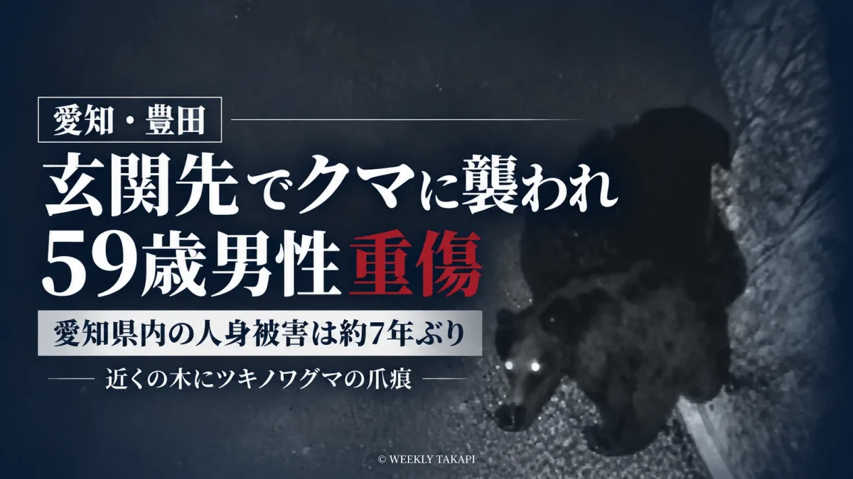 愛知県豊田市小原北町で自宅玄関先にいた59歳男性がクマに襲われ重傷を負い、県内では約7年ぶりのクマによる人身被害となったことを伝える週刊TAKAPIの報道アイキャッチ