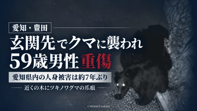 愛知県豊田市小原北町で自宅玄関先にいた59歳男性がクマに襲われ重傷を負い、県内では約7年ぶりのクマによる人身被害となったことを伝える週刊TAKAPIの報道アイキャッチ