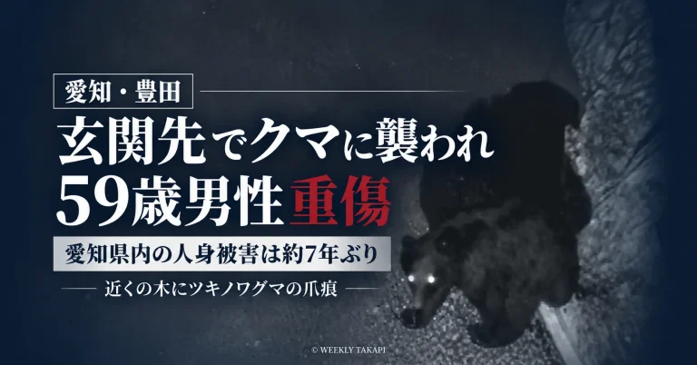 愛知県豊田市小原北町で自宅玄関先にいた59歳男性がクマに襲われ重傷を負い、県内では約7年ぶりのクマによる人身被害となったことを伝える週刊TAKAPIの報道アイキャッチ